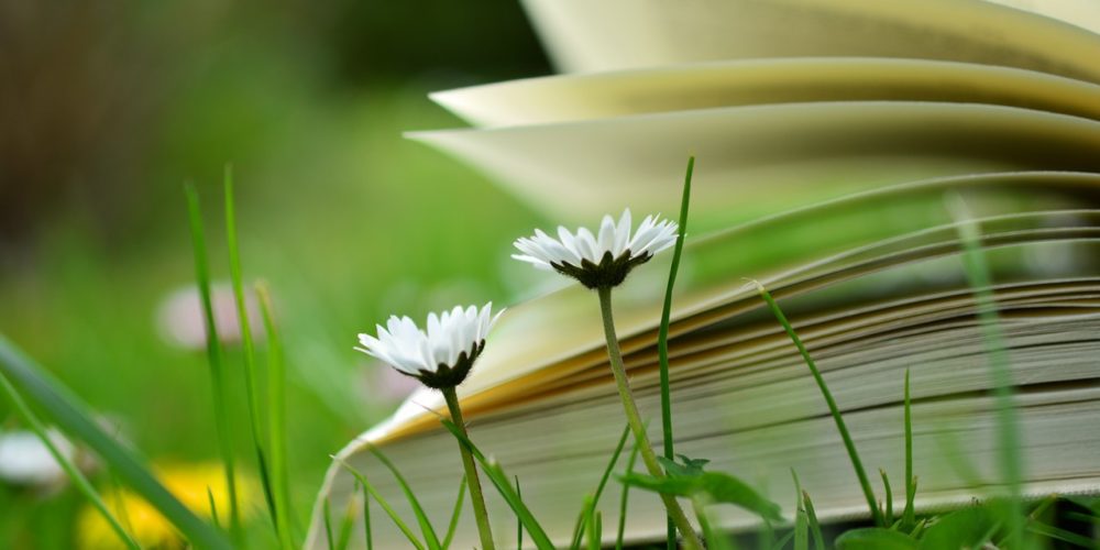 book-lying-in-grass-about-stress-and-more